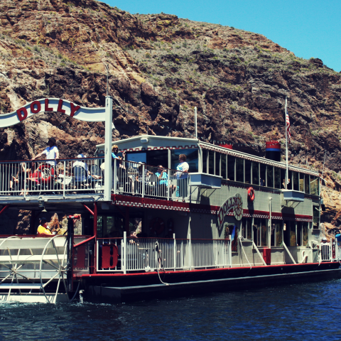 Dolly going down the river